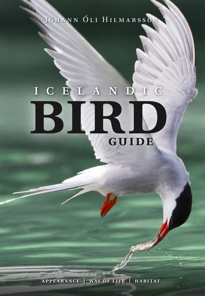 Icelandic bird guide