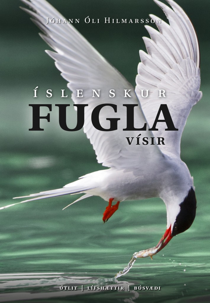 Fuglavísirinn