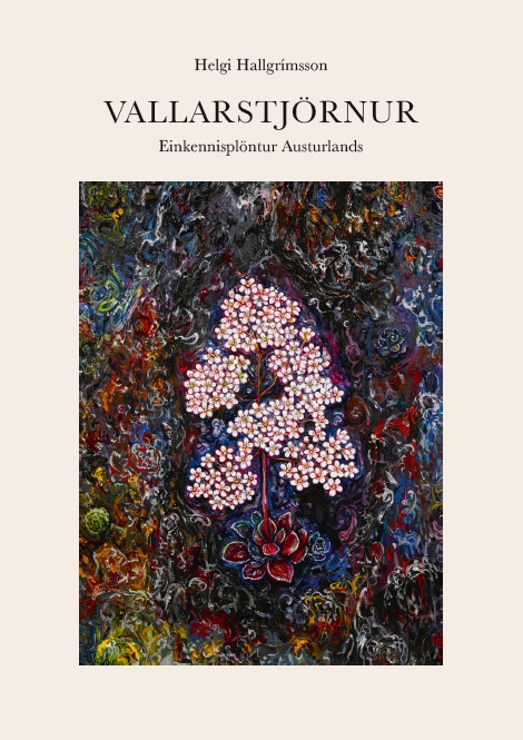Vallarstjörnur