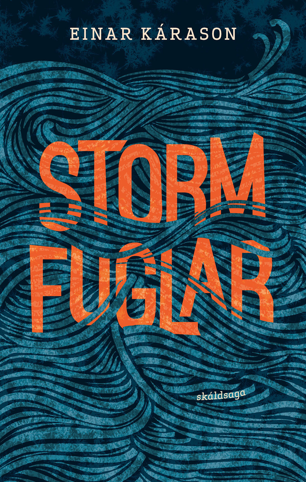 Stormfuglar - Einar Kárason