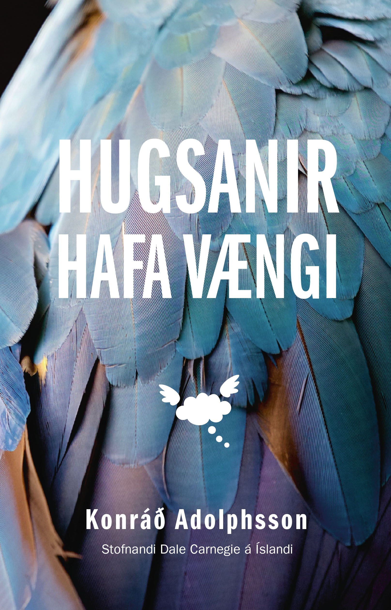 Hugsanir hafa vængi