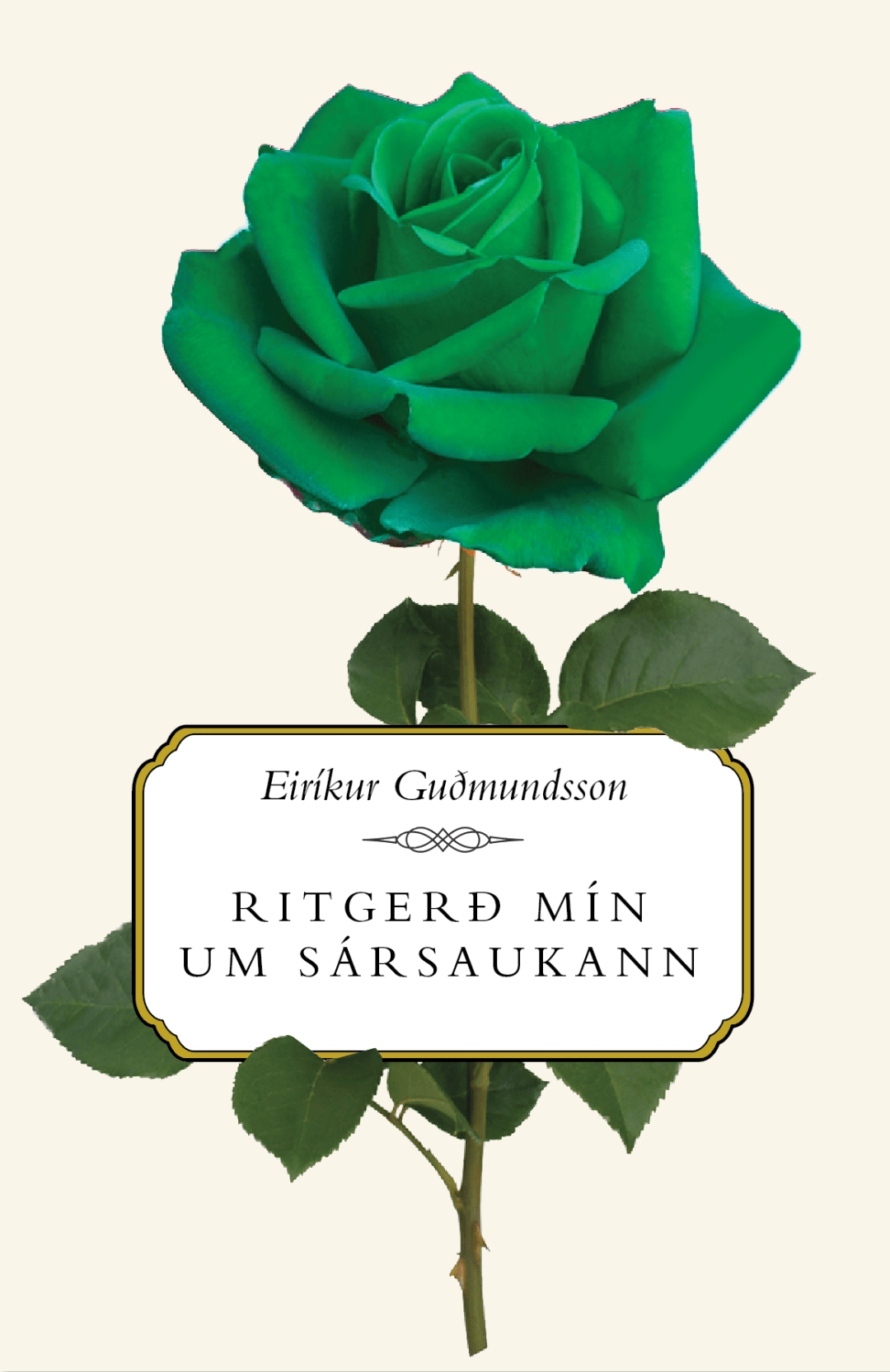 Ritgerð mín um sársaukann