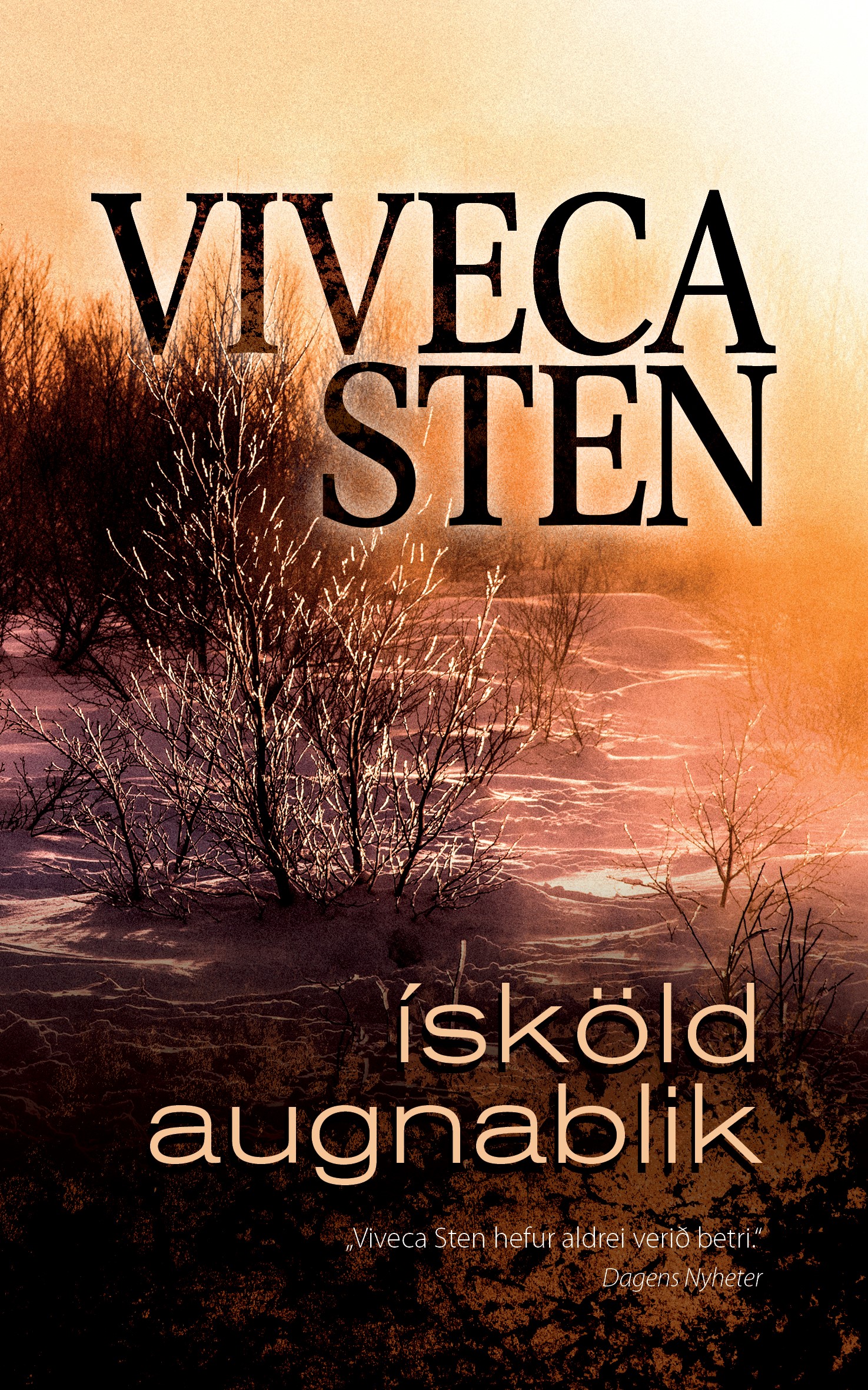Ísköld augnablik