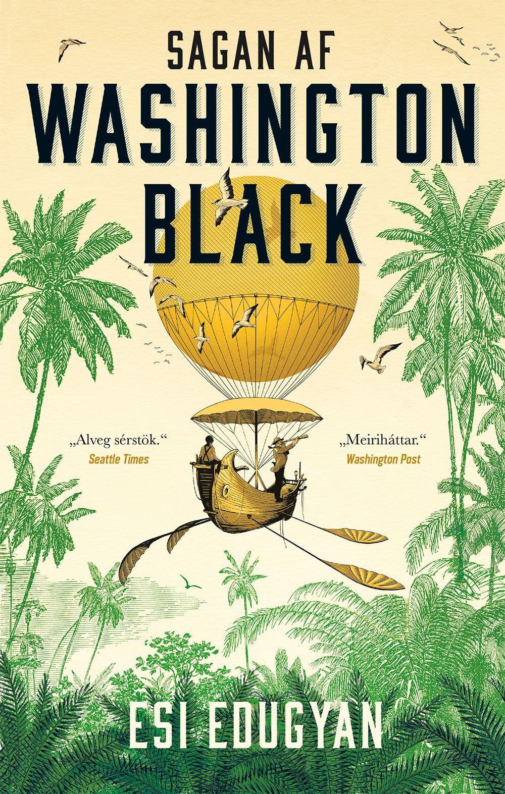 Sagan af Washington Black