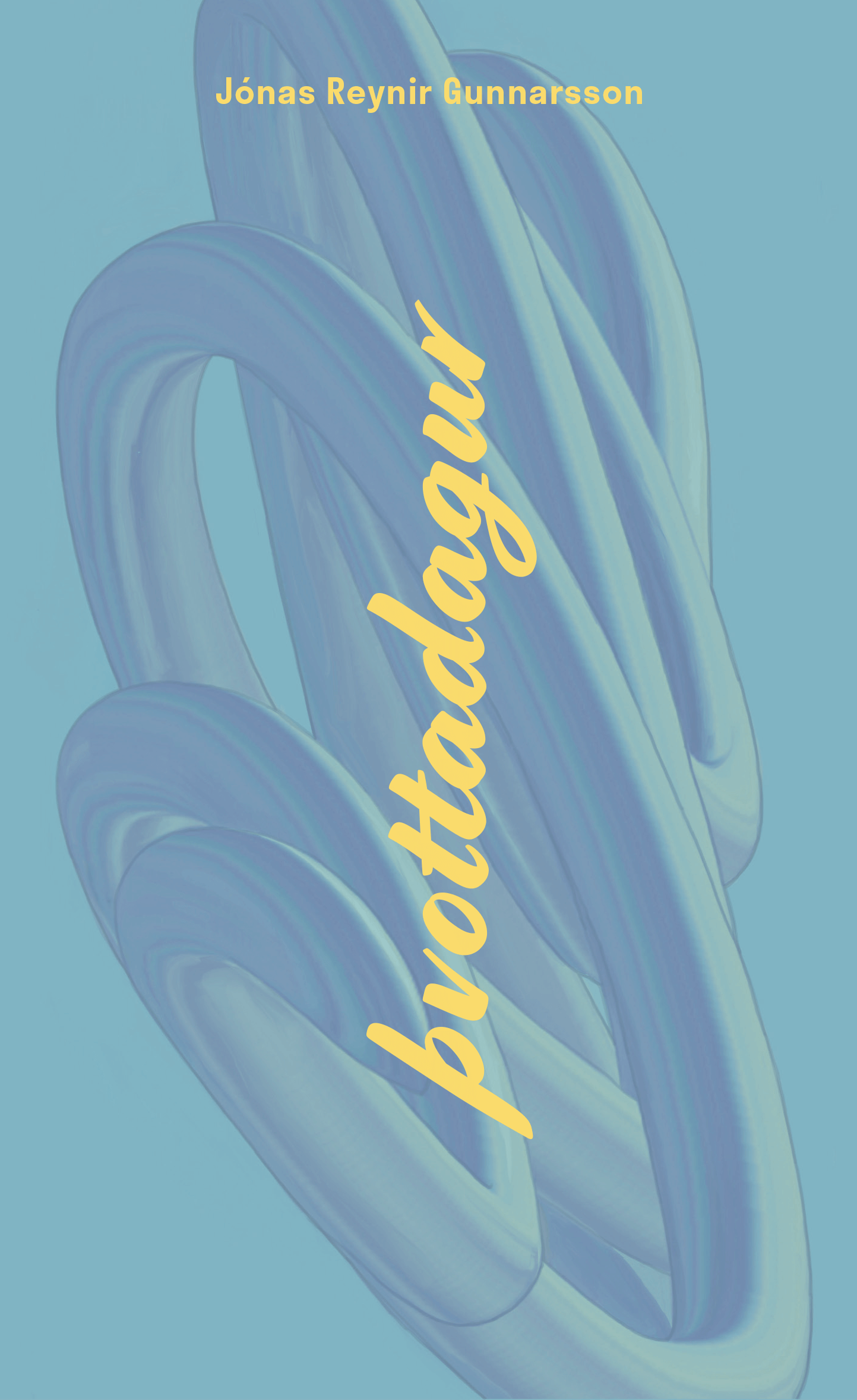 Þvottadagur