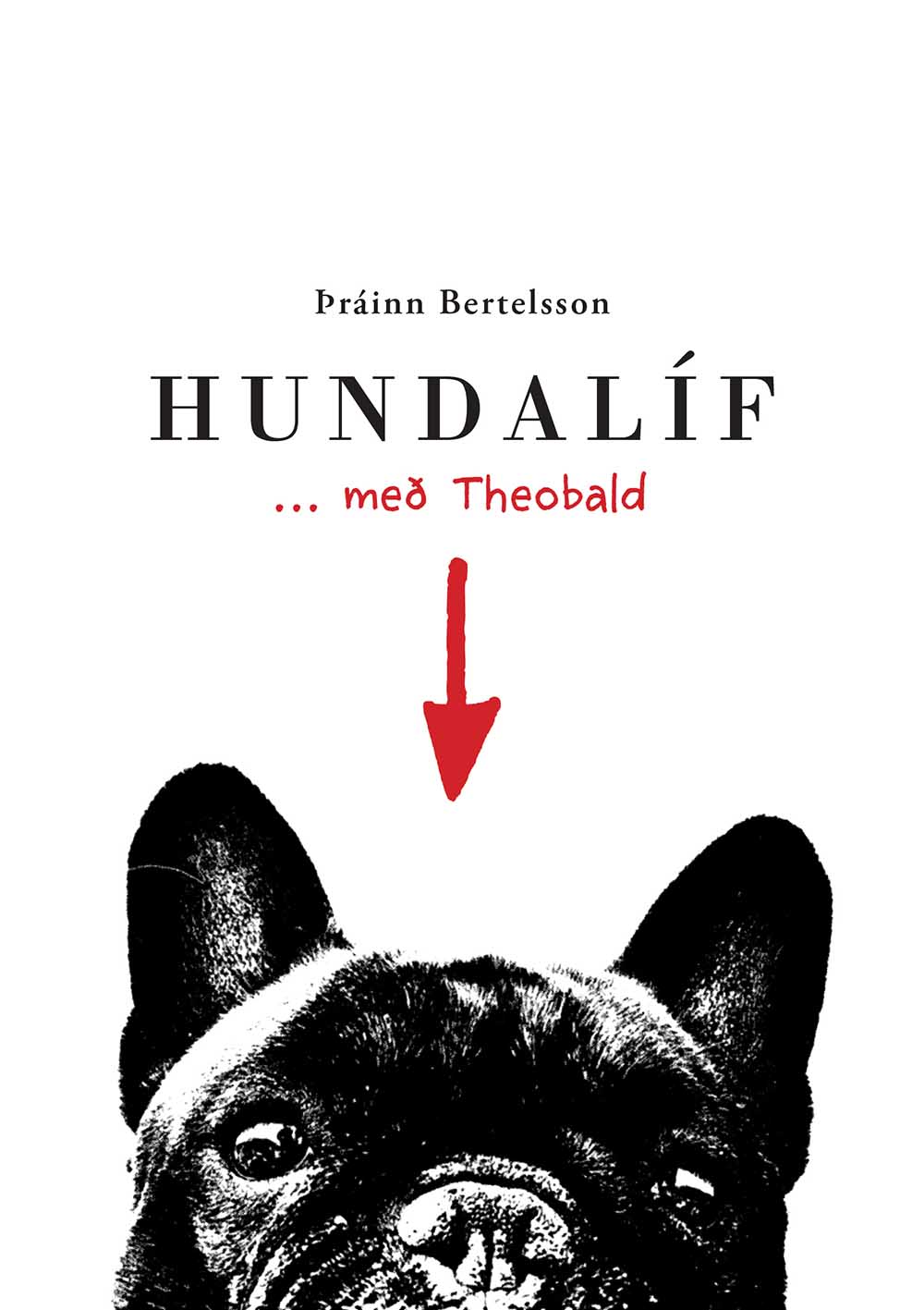 Hundalíf... með Theobald