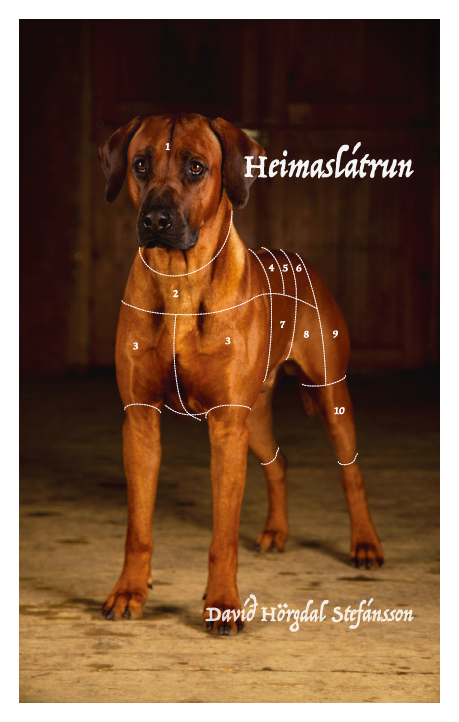 Heimaslátrun