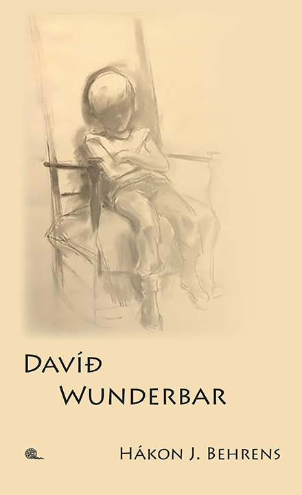 Davíð Wunderbar - kápa #5.indd