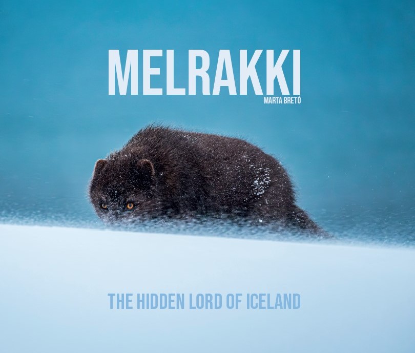 melrakki hidden lord of iceland