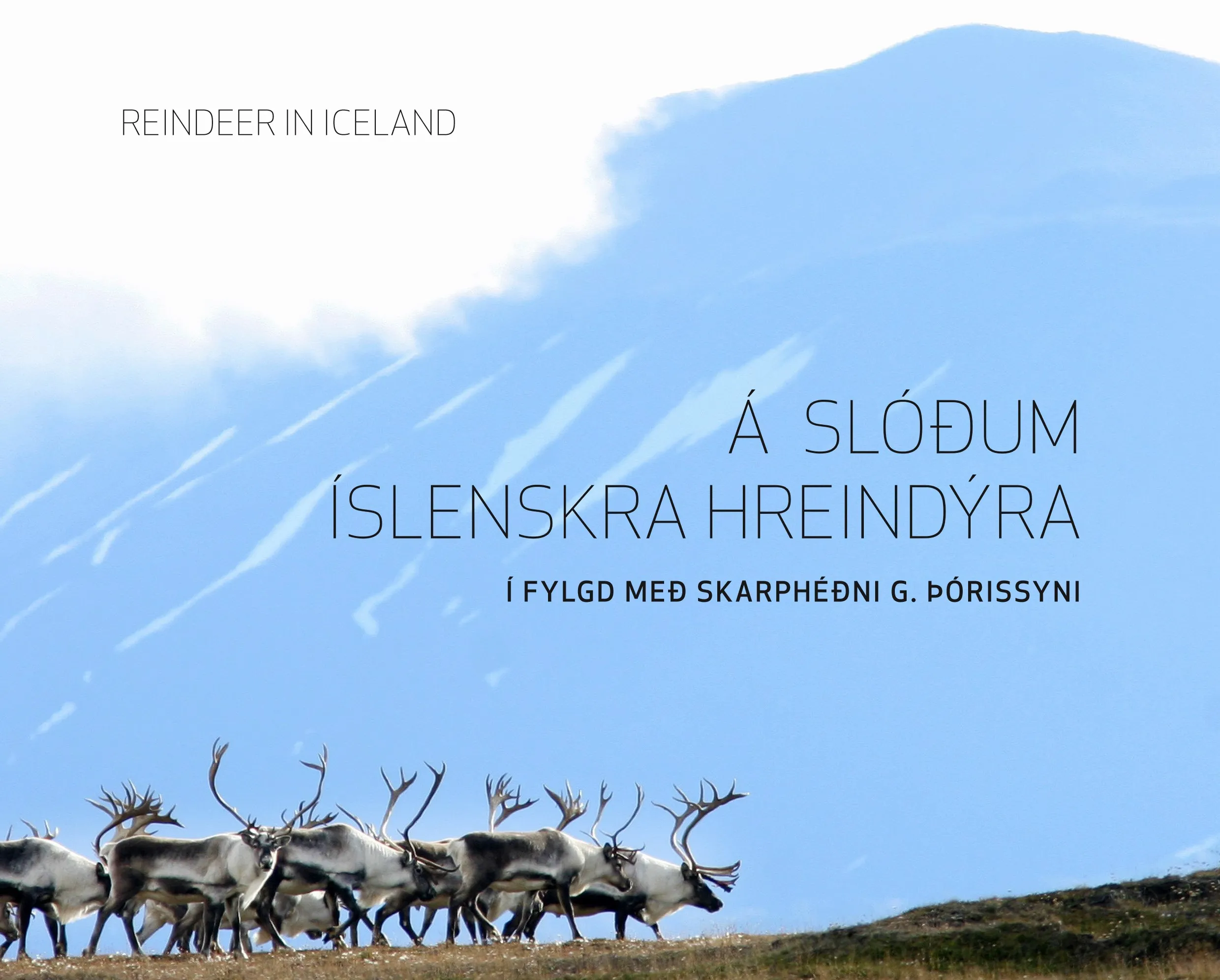 á slóðum íslenskra hreindýra