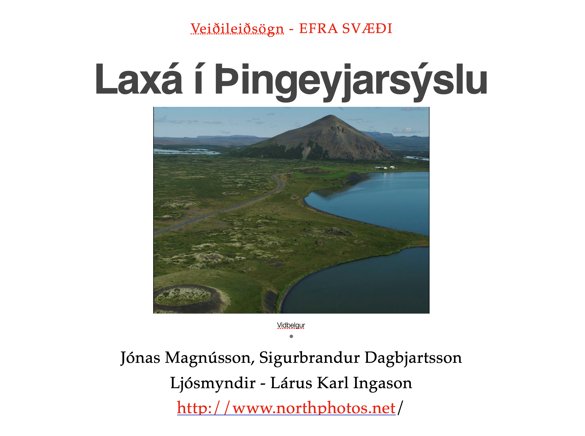 laxá í þingeyjarsýslu