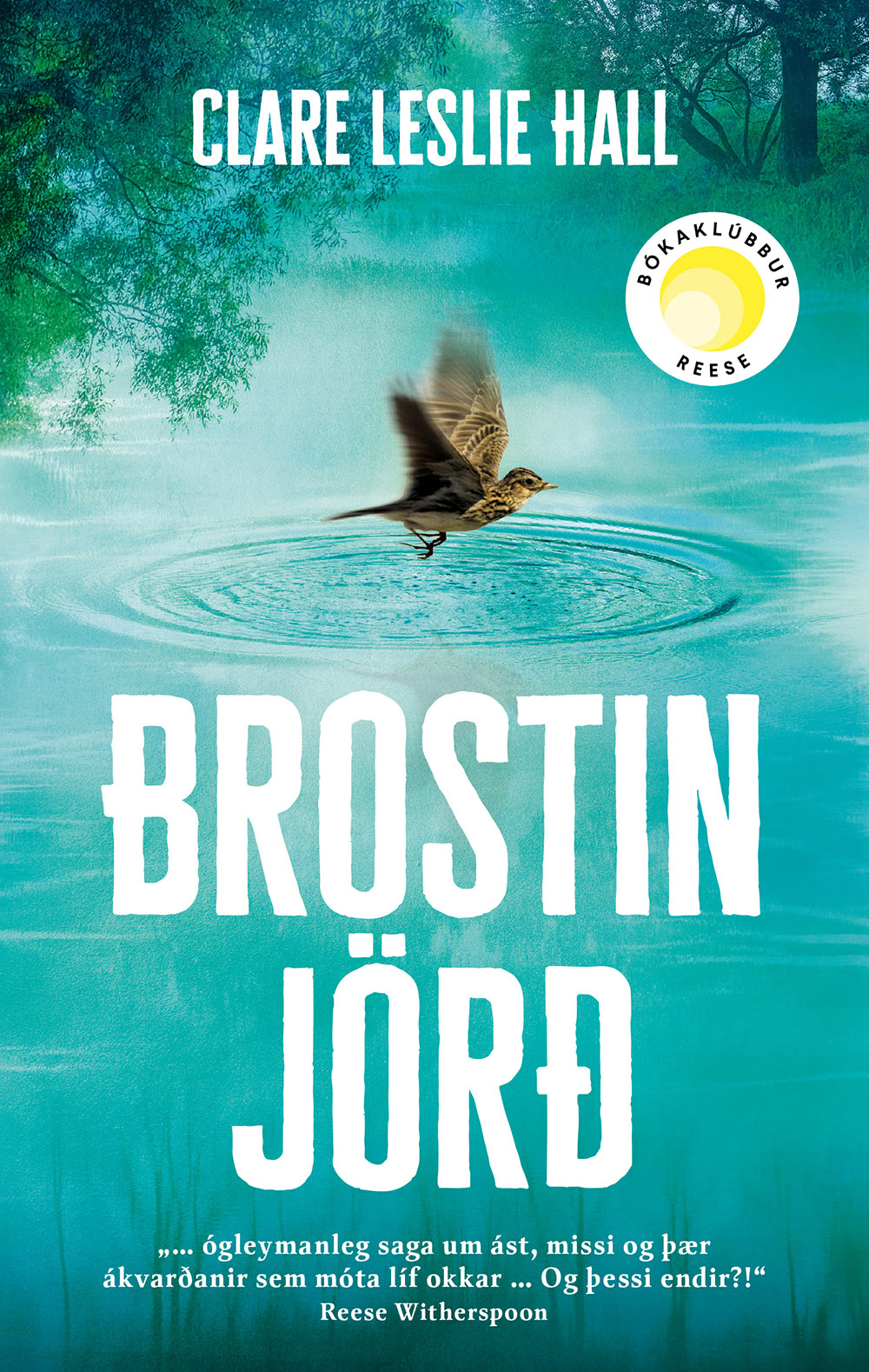 Brostin_jord_72pt