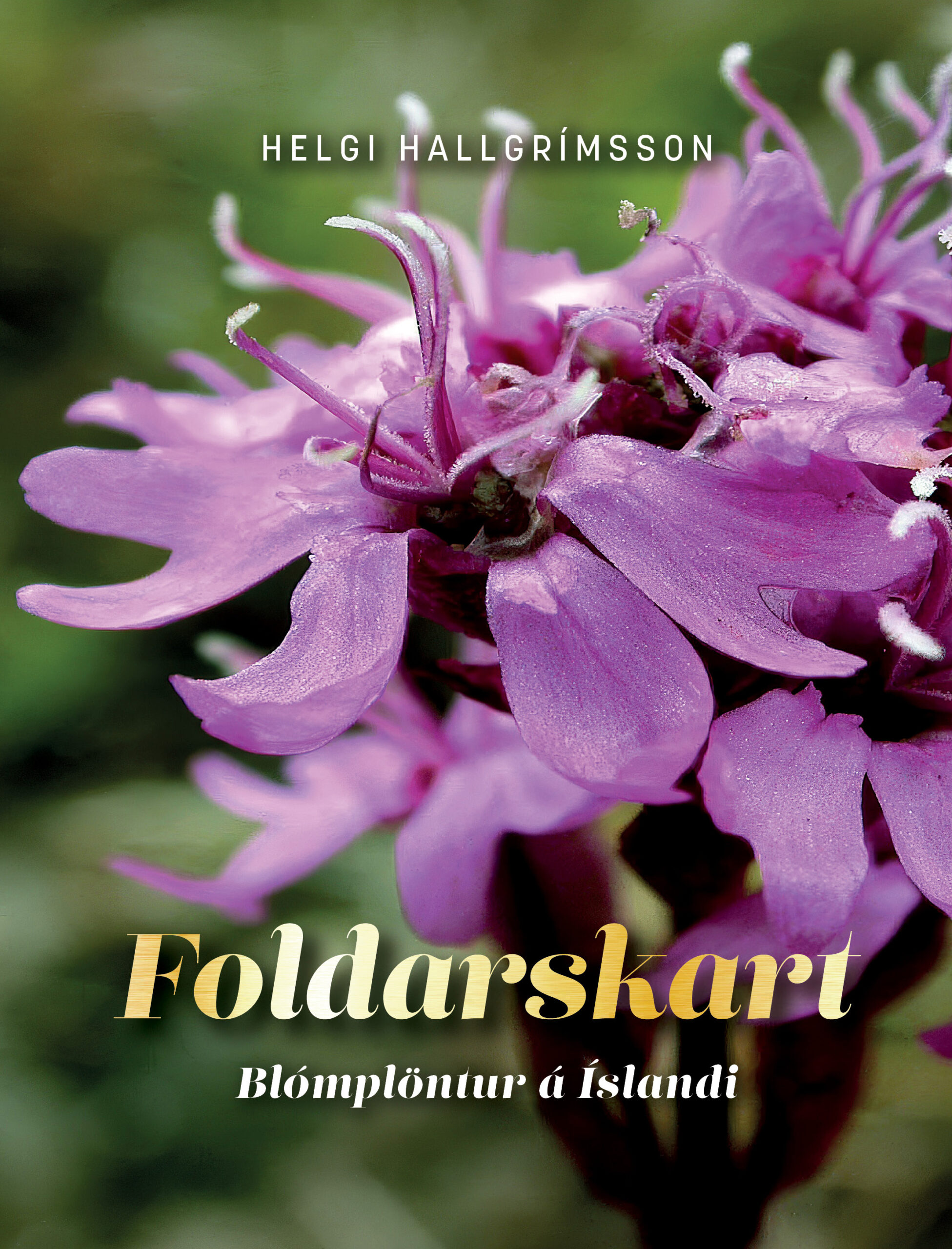 Foldarskart-FRAMAN-scaled