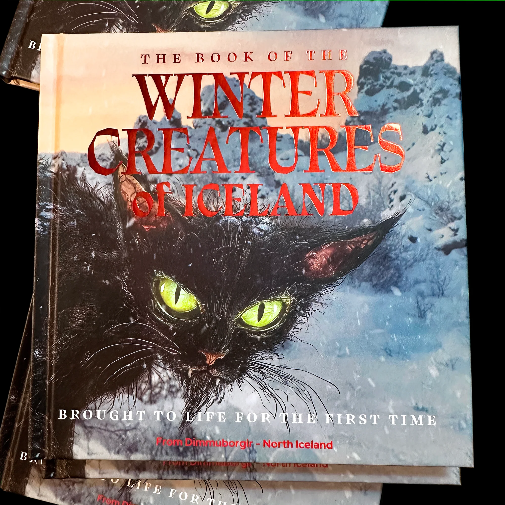 the book of the winter