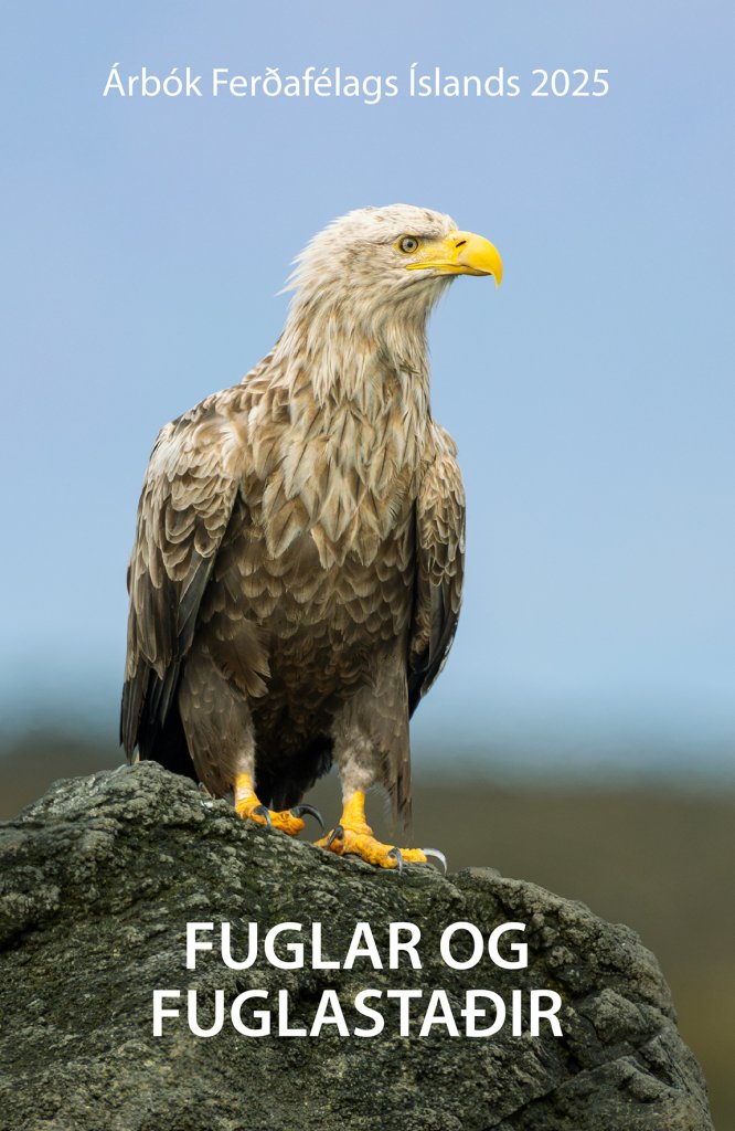 árbók 2025