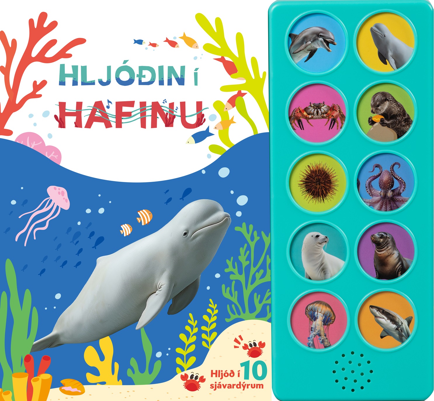 LY2024046FS-Z-sea animal-cover_new