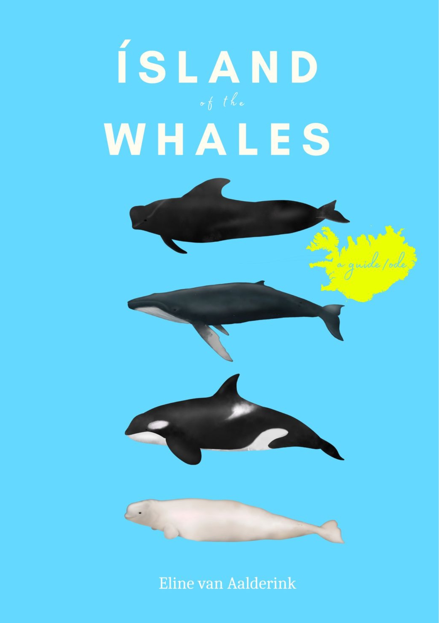 Kápa_IslandoftheWhales